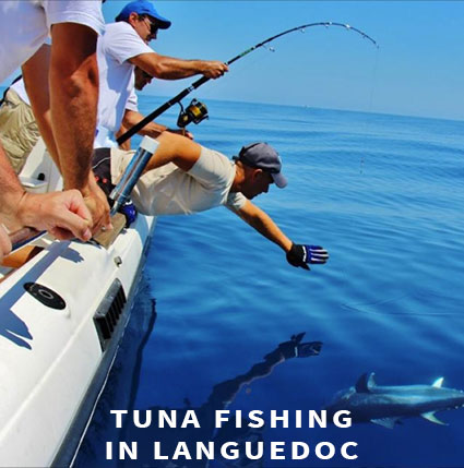 Tuna fishing in Languedoc